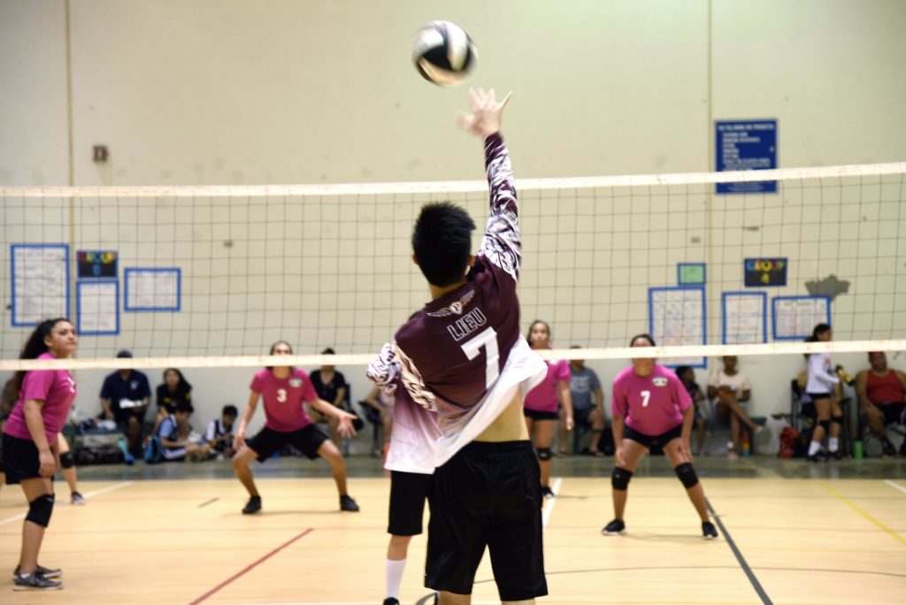 PAL volleyball. Child serving.