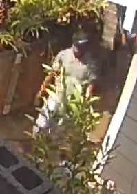 Suspect #1 – Unknown male, medium build, wearing a light green shirt, gray shorts, and black hat