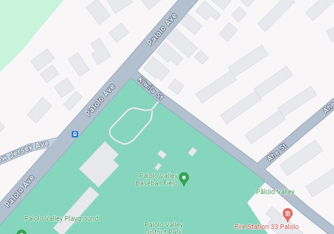 Google Map picture of Kiwila Street and Palolo Avenue