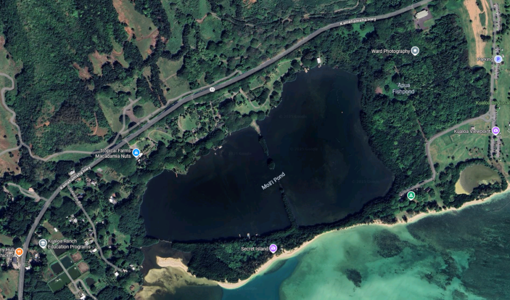 Google Maps image of Kamehameha Highway south of Kualoa Ranch.