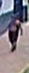 Unknown male suspect wearing a tank stop captured on surveillance camera