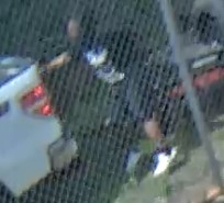 Unknown male suspect wearing shorts and covered shoes captured on surveillance camera