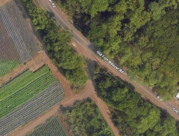 Old Fort Weaver Road and Fat law Farms Driveway