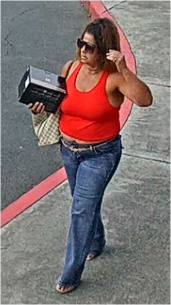 Unknown female with sunglasses and a checkerboard slouchy hobo style tote shown on surveillance camera
