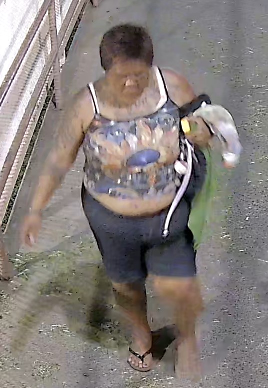 Unknown female with extensive tattoos across upper chest and right arm shown on surveillance video