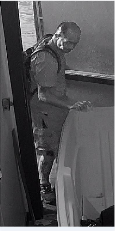 Unknown bald male suspect with tattoos on bicep and leg shown on surveillance camera