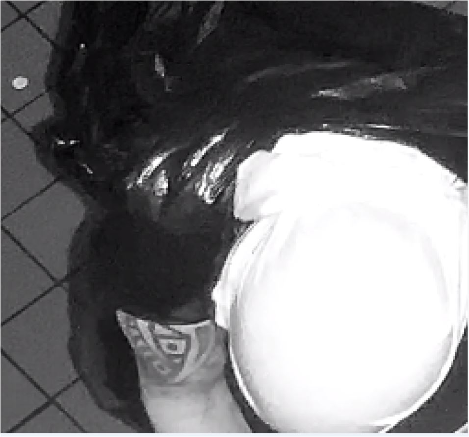 Unknown bald male suspect with tattoos on bicep and leg shown on surveillance camera