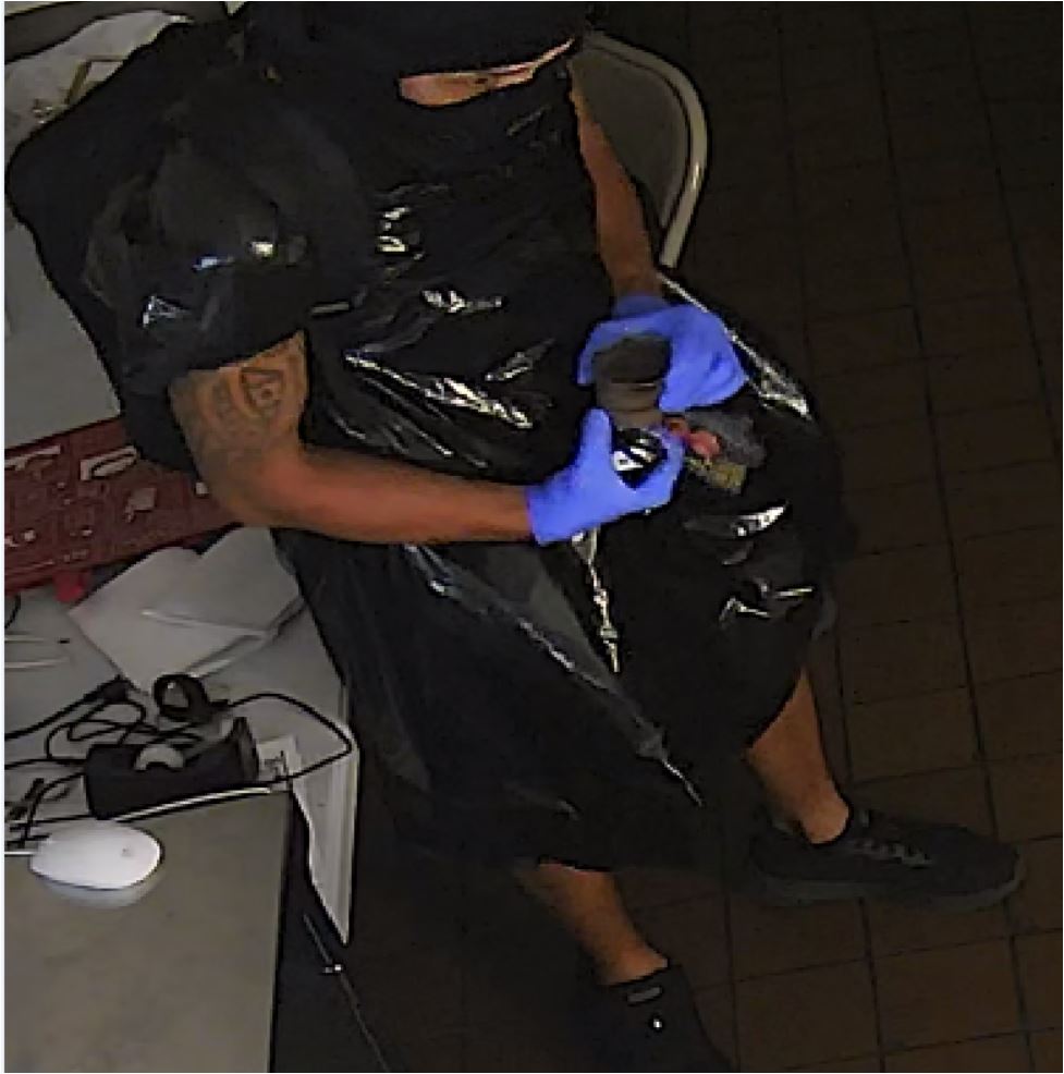Unknown bald male suspect with tattoos on bicep and leg shown on surveillance camera