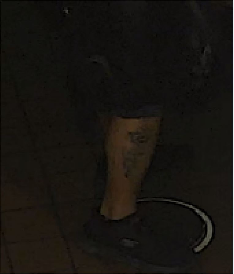 Unknown bald male suspect with tattoos on bicep and leg shown on surveillance camera