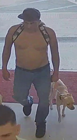 Unknown shirtless male with a leashed dog and unknown female carrying a sling bag captured on surveillance camera