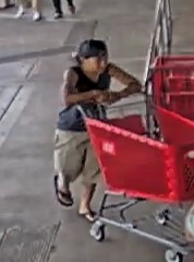 Unknown shirtless male with a leashed dog and unknown female carrying a sling bag captured on surveillance camera