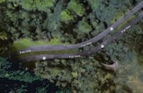 Google Maps image that depicts the Pali Highway, north of the Pali Tunnels