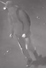 Unknown male suspect wearing a hoodie and baseball cap as shown on surveillance camera