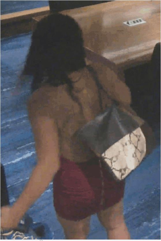 Barefoot individual in a halter-style backless dress as shown on surveillance camera