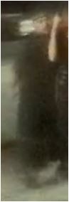 Unknown male wearing a backwards baseball cap and a rattail hairstyle as shown on surveillance camera