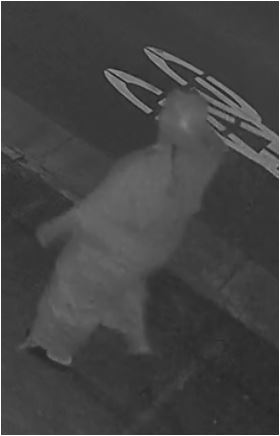 Unknown male wearing a backwards baseball cap and a rattail hairstyle as shown on surveillance camera